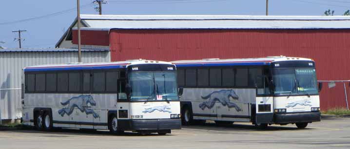 Greyhound MCI 102DL3 6495 & 6131